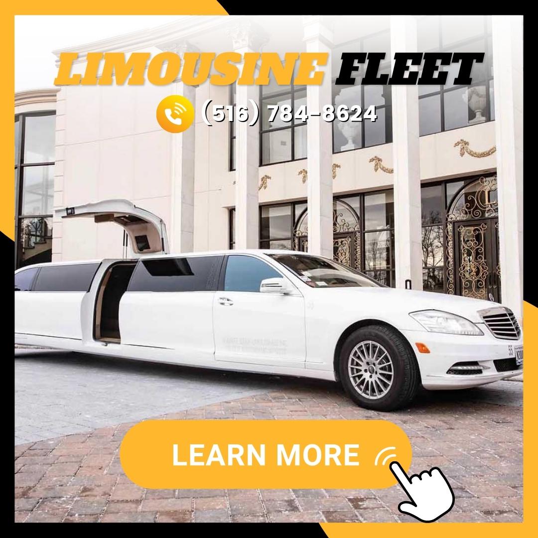 Limousine-Fleet