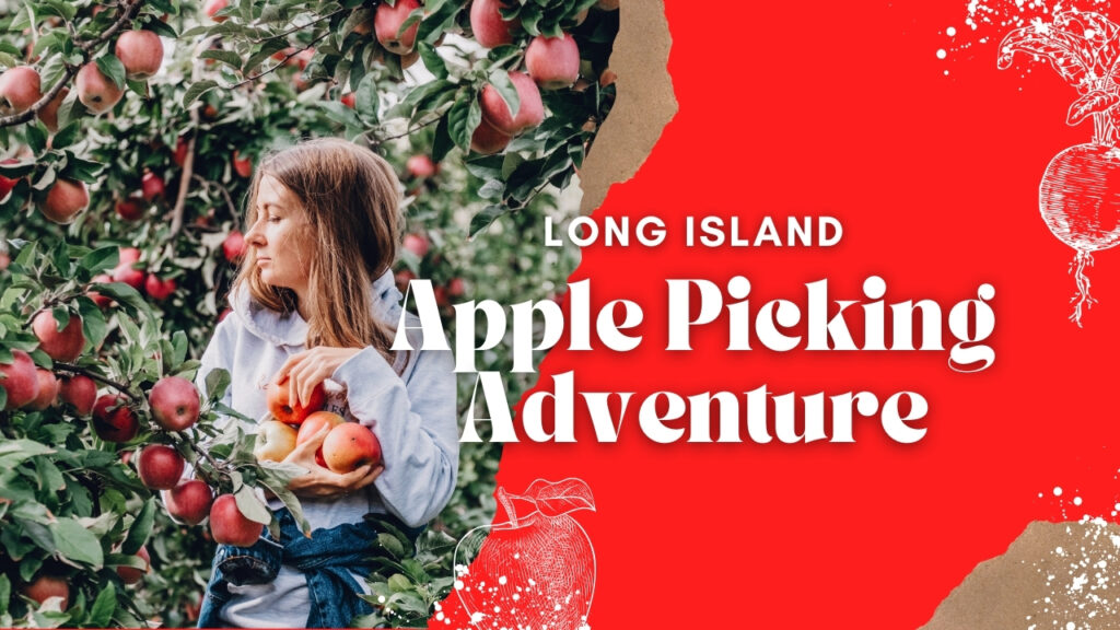 Apple Picking in Long Island LI Party Rides