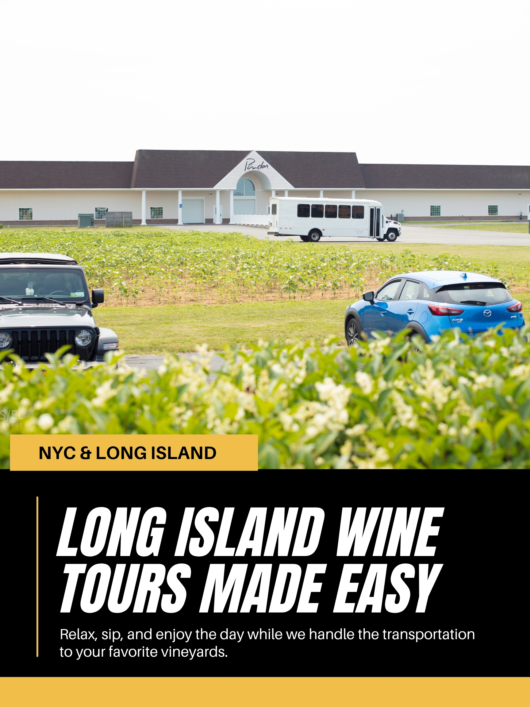 Long-Island-Wine-Tour