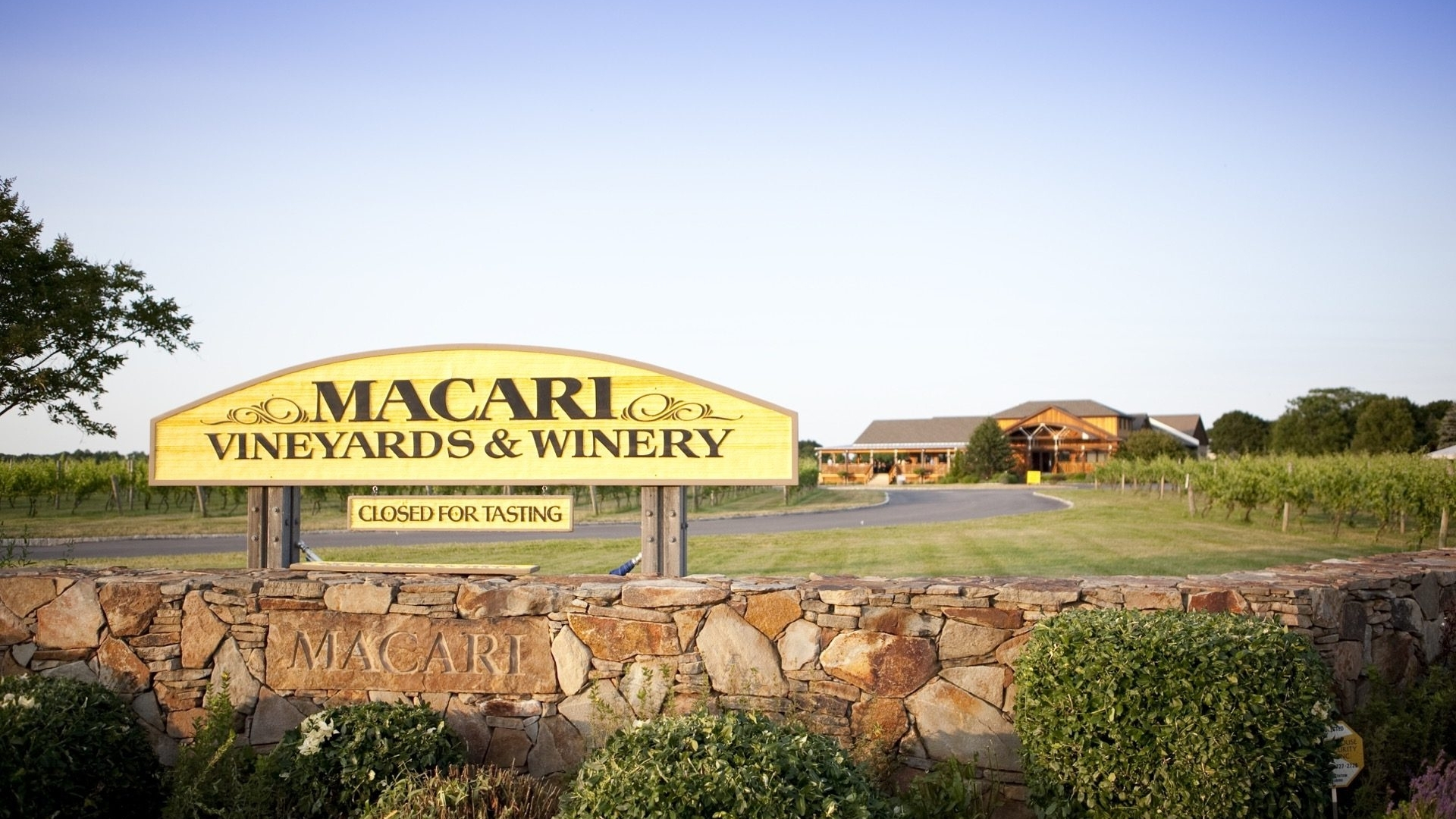 Macari-Vineyards