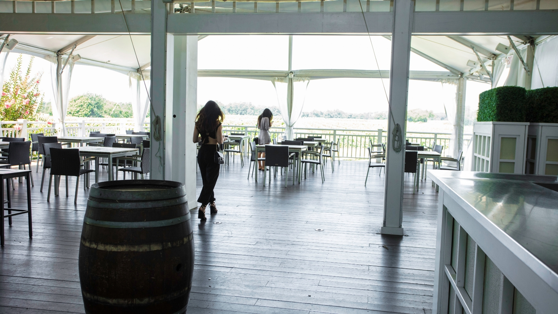 Bedell-Cellars-Vineyard